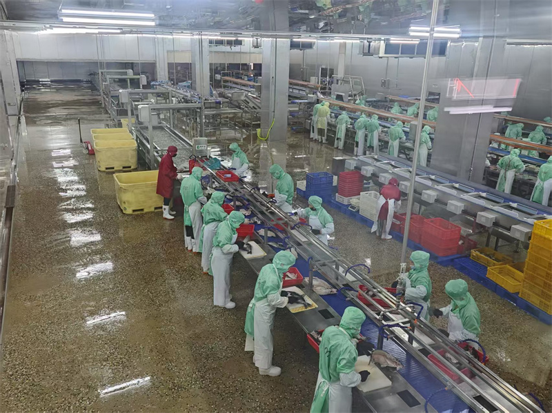 4.三珍生產線.jpg