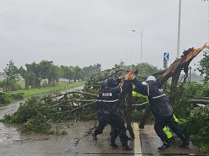 搬離路中倒伏樹木.jpg