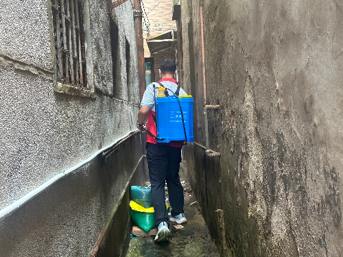 20250922臺山市統計局簡訊：全力攻堅，筑牢基孔肯雅熱疫情防控屏障.doc_7