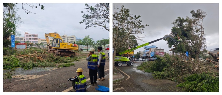 重建合并1 (1).jpg