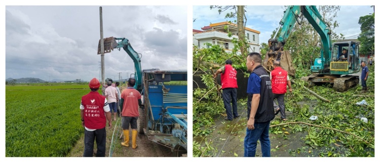 重建合并2 (1).jpg