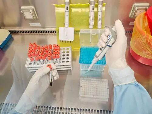 binary_middle (5).jpg 圖片