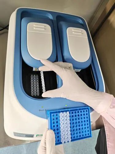 binary_middle (4).jpg 圖片