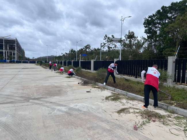大灣物流園公司黨員干部開展白沙園區(qū)環(huán)境整治.jpg