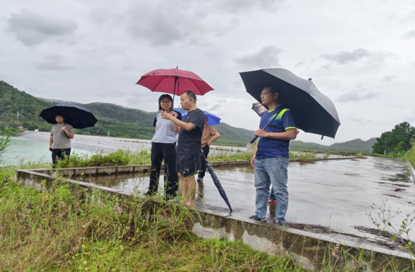 防洪蓄水雙線告捷!臺山水利交出2025年汛期答卷1484.png