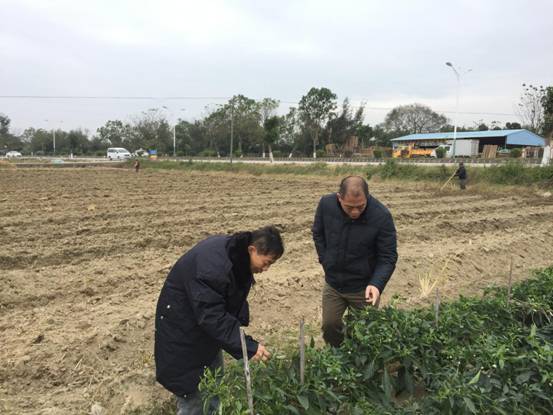 防寒防凍照片IMG_1897