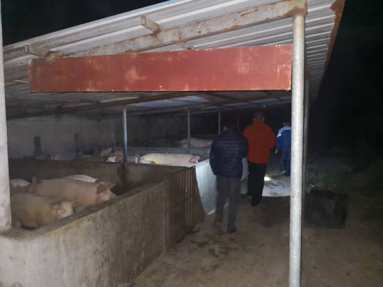 微信圖片_20181211214630